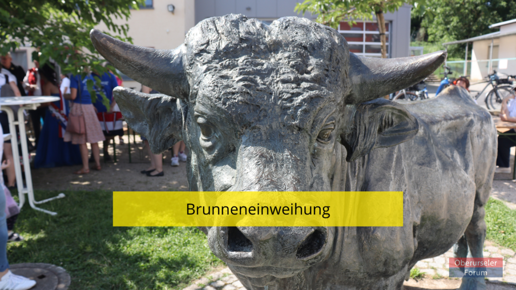 Brunneneinweihung in Stierstadt