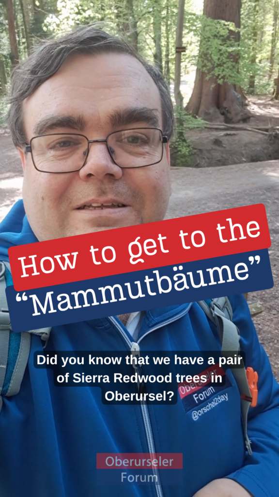 So findet man die Mammutbäume - auf Englisch erklärt.