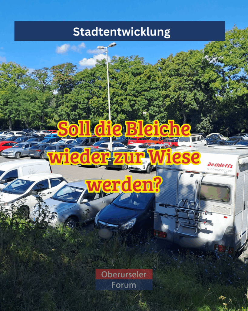 Soll die Bleiche wieder zur Wiese werden?