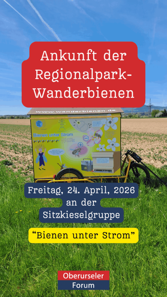 Die Wanderbienen sind in Oberursel angekommen!