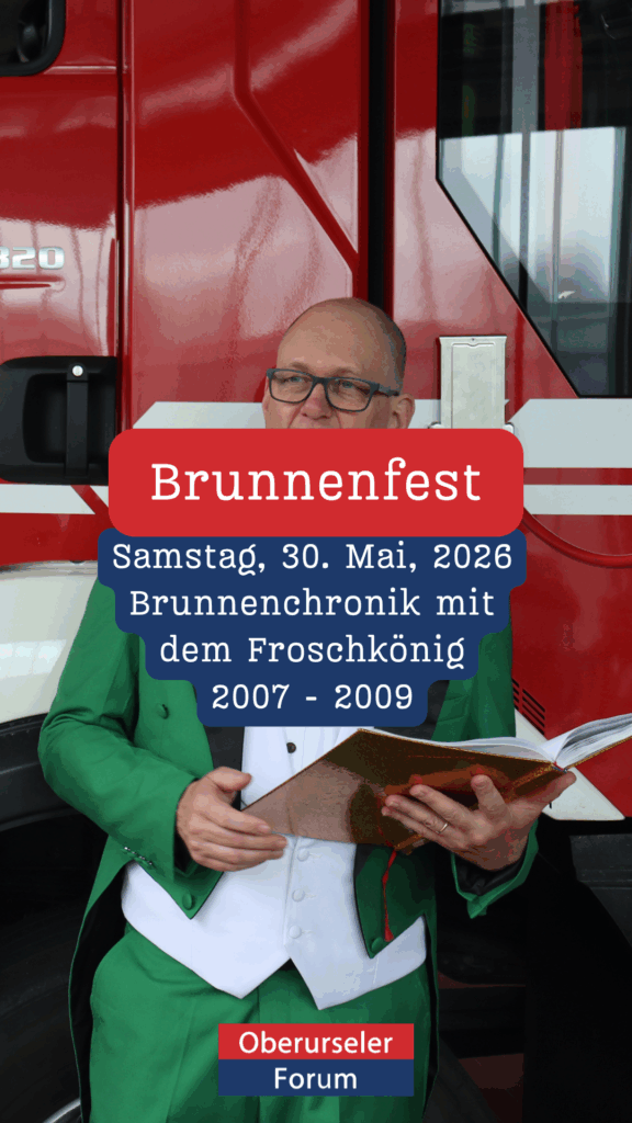 Brunnenchronik 2007 - 2009 mit dem Froschkönig