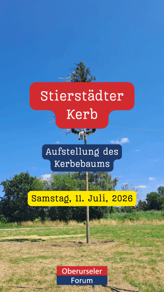 Stierstädter Kerb: Aufstellung des Kerbebaums