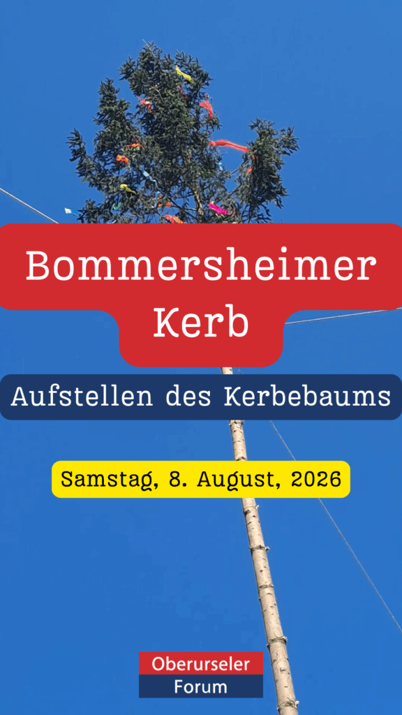 Bommersheimer Kerb: Aufstellen des Kerbebaums am Samstag, 8. August, 2026
